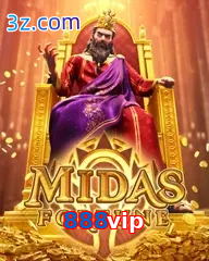 888vip